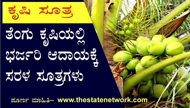 ತೆಂಗು ಕೃಷಿಯಲ್ಲಿ ಬಂಪರ್ ಆದಾಯ ಗಳಿಸಲು ಸರಳ ಸೂತ್ರಗಳು