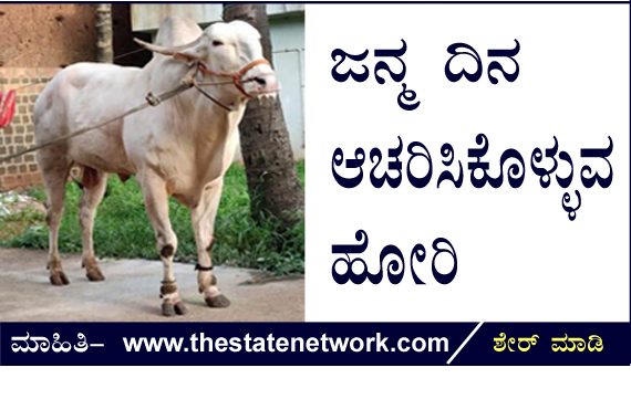 ರೈತನ ಗೆಳೆಯ ಹೋರಿಗೂ ಜನ್ಮ ದಿನ ಆಚರಿಸುವ ಯುವಕರ ಗುಂಪು