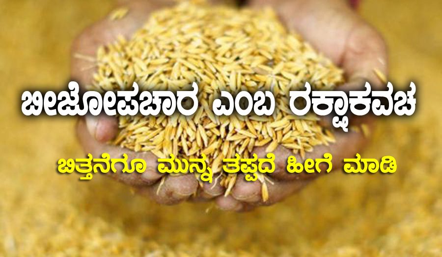 ಬೆಳೆಗಳಿಗೆ ರೋಗ ತಡೆಯಲು ಬೀಜೋಪಚಾರ ಎಂಬ ರಕ್ಷಾ ಕವಚ