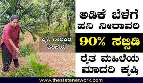 ಅಡಿಕೆ ಬೆಳೆಗೆ ಹನಿ ನೀರಾವರಿ; ಮಾದರಿ ಆಯ್ತು ರೈತ ಮಹಿಳೆಯ ಕೃಷಿ