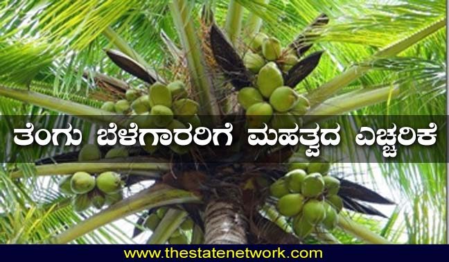 ತೆಂಗಿನ ಬೆಳೆಯಲ್ಲಿ ರುಗೋಸ್ ಬಿಳಿನೋಣದ ನಿರ್ವಹಣೆ