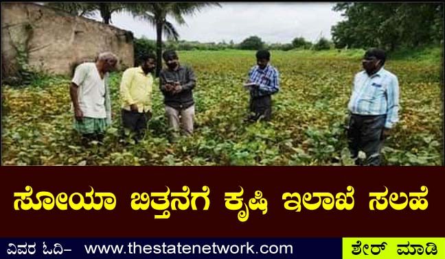 ಸೋಯಾಅವರೆಯ ಬಿತ್ತನೆ ಸಲಹೆಗಳು