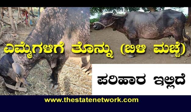 ಪಶುಗಳಲ್ಲಿ ತೊನ್ನು: ಭಯ ಬೇಡ: ಡಾ. ಎನ್.ಬಿ.ಶ್ರೀಧರ