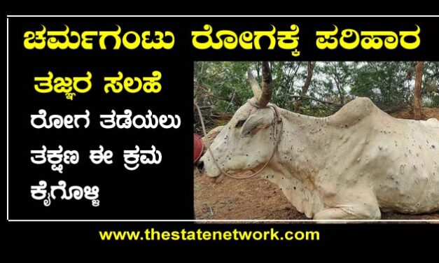 lumpy skin disease: ಚರ್ಮಗಂಟು ರೋಗ ಉಲ್ಬಣ: ಎಚ್ಚರಿಕೆ