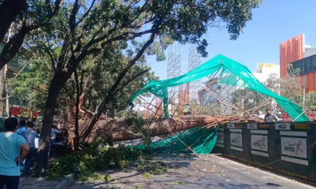 ಈ ಸಾವು ನ್ಯಾಯವೇ? ಮೆಟ್ರೋ ಫಿಲ್ಲರ್ ಬಿದ್ದು ತಾಯಿ, ಮಗು ಸಾವು: ಇನ್ನೊಂದು ಮಗು, ತಂದೆ ಜಸ್ಟ್ ಮಿಸ್