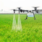 ಇನ್ಮುಂದೆ ಅಡಿಕೆಗೆ ಔಷಧಿ ಸಿಂಪಡಿಸೋದು ತುಂಬಾ ಸುಲಭ ಹೇಗೆ ಗೊತ್ತಾ?