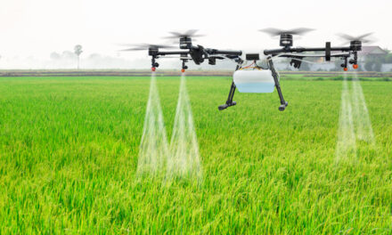 ಇನ್ಮುಂದೆ ಅಡಿಕೆಗೆ ಔಷಧಿ ಸಿಂಪಡಿಸೋದು ತುಂಬಾ ಸುಲಭ ಹೇಗೆ ಗೊತ್ತಾ?