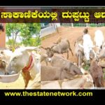 ಕತ್ತೆ ಸಾಕಾಣಿಕೆಯಲ್ಲಿ ದುಪ್ಪಟ್ಟು ಆದಾಯ