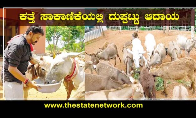 ಕತ್ತೆ ಸಾಕಾಣಿಕೆಯಲ್ಲಿ ದುಪ್ಪಟ್ಟು ಆದಾಯ